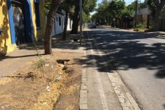 San Bernardo