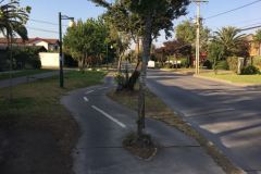 &Ntilde;u&ntilde;oa