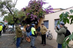 Galer&iacute;a